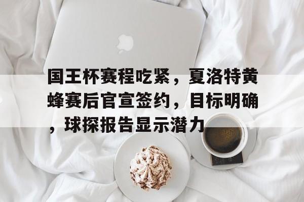 爱游戏中国-国王杯赛程吃紧,夏洛特黄蜂赛后官宣签约,目标明确,球探报告显示潜力(国王杯西乙最新积分榜)