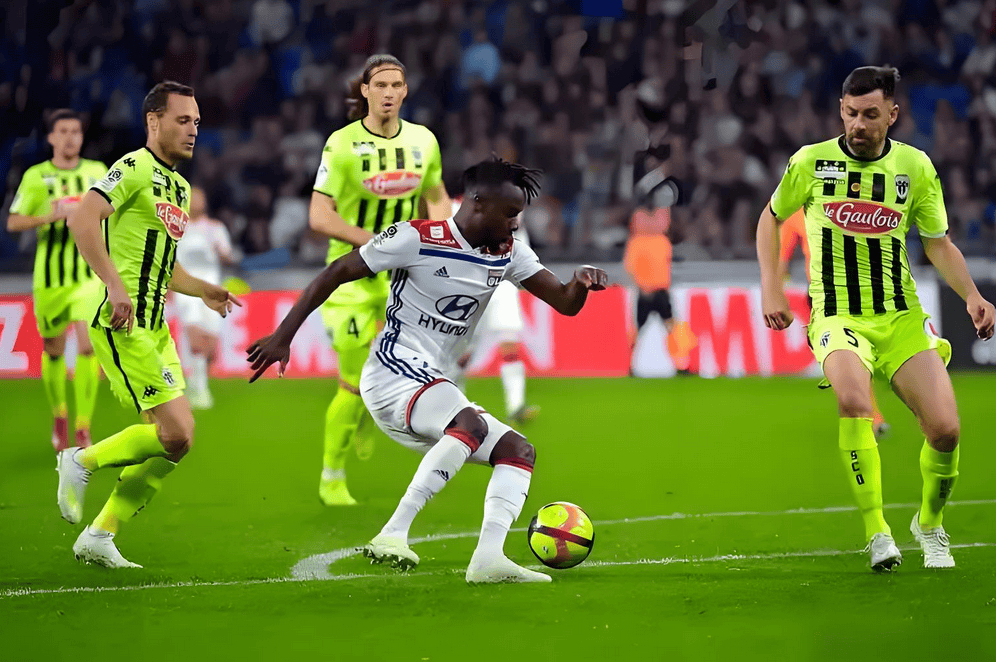 包含转折点！本菲卡队长鼓劲；法甲今夜攻防权衡；球迷炸锅；纪律约束更严格的词条